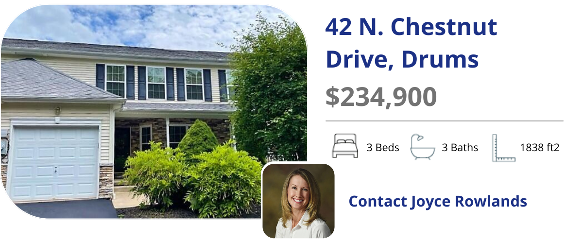42 Chestnut Drive