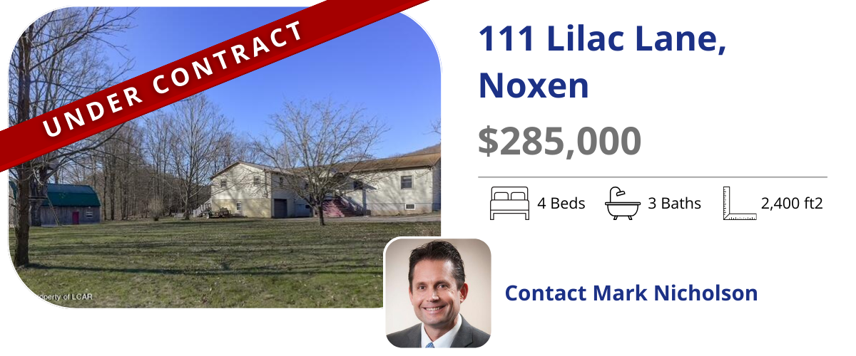 homes for sale in noxen