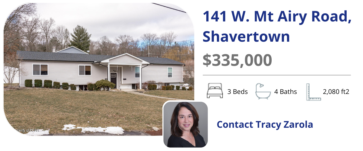 141 mt airy rd