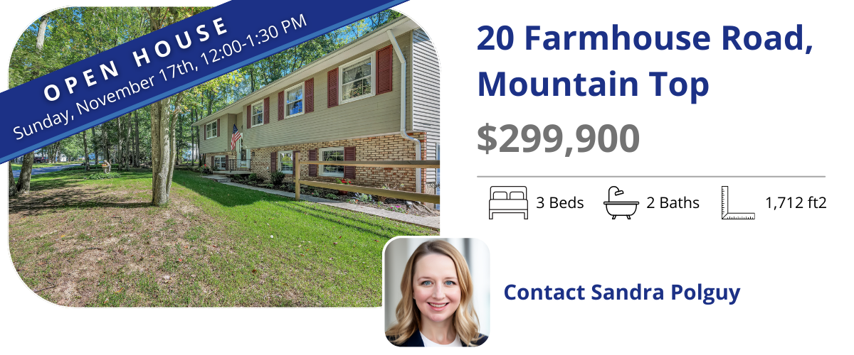 20 farm house open house