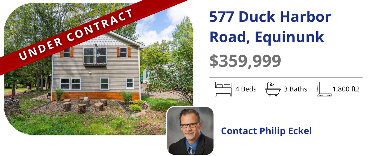homes for sale in equinunk