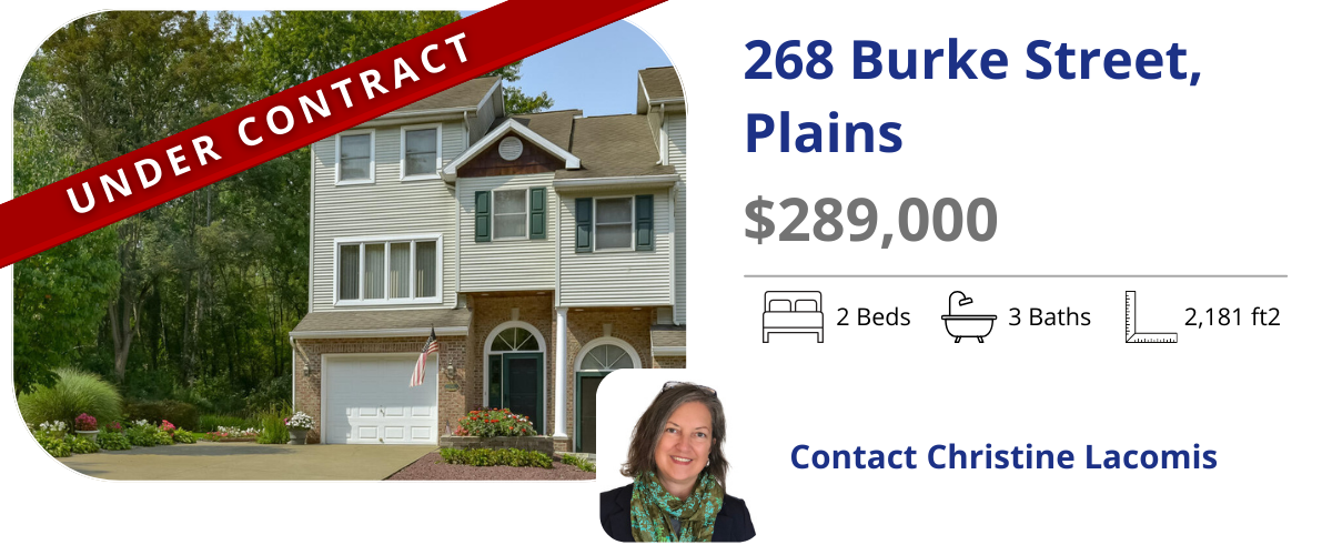homes for sale in plains