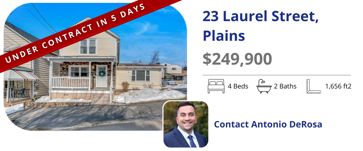 homes for sale in plains
