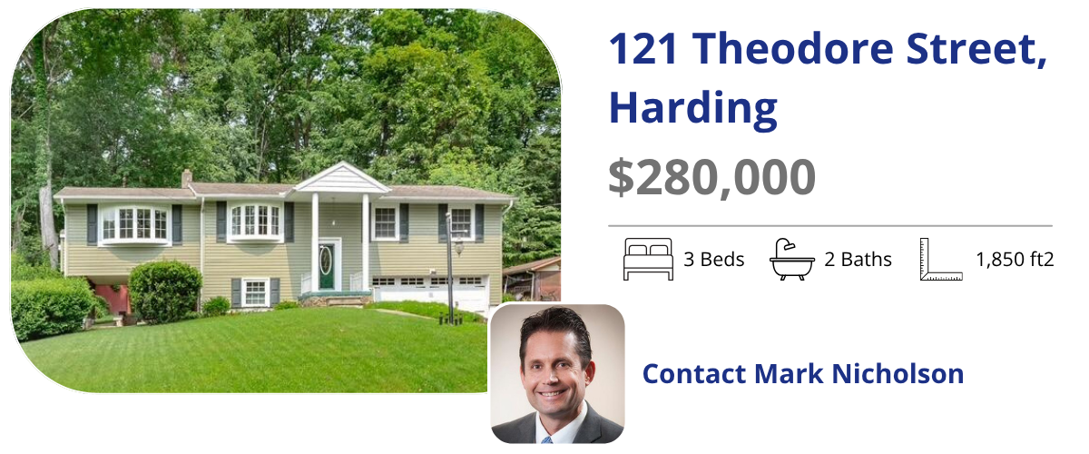 121 Theodore st