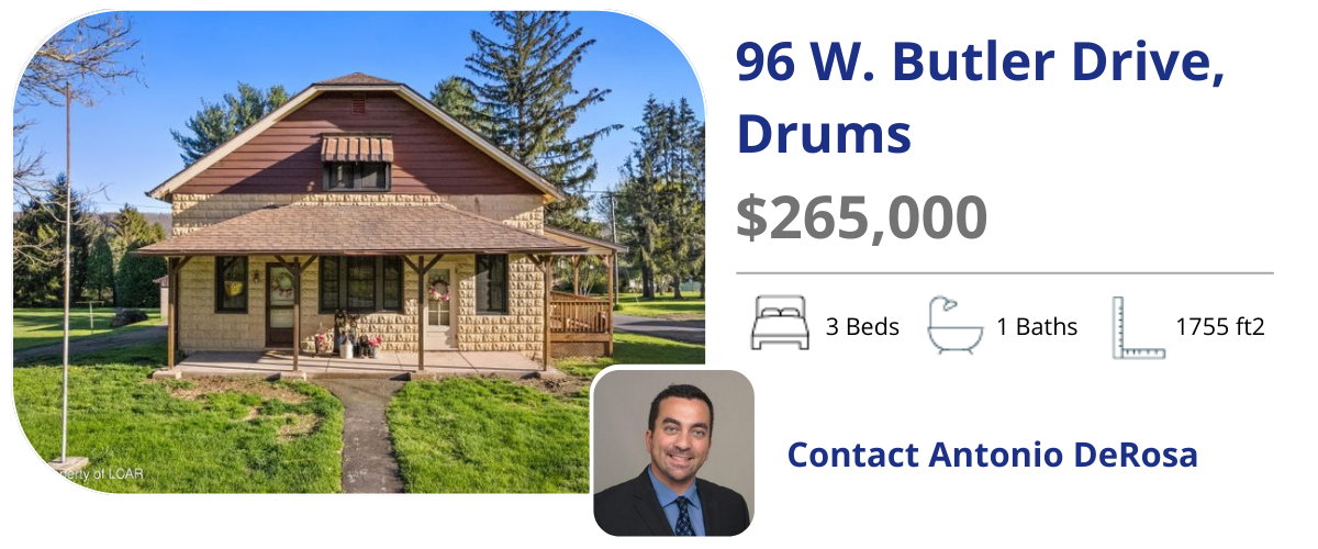 96 w butler