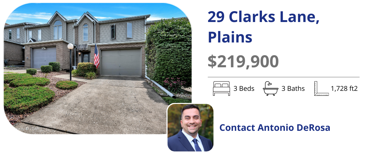 29 clarks lane plains