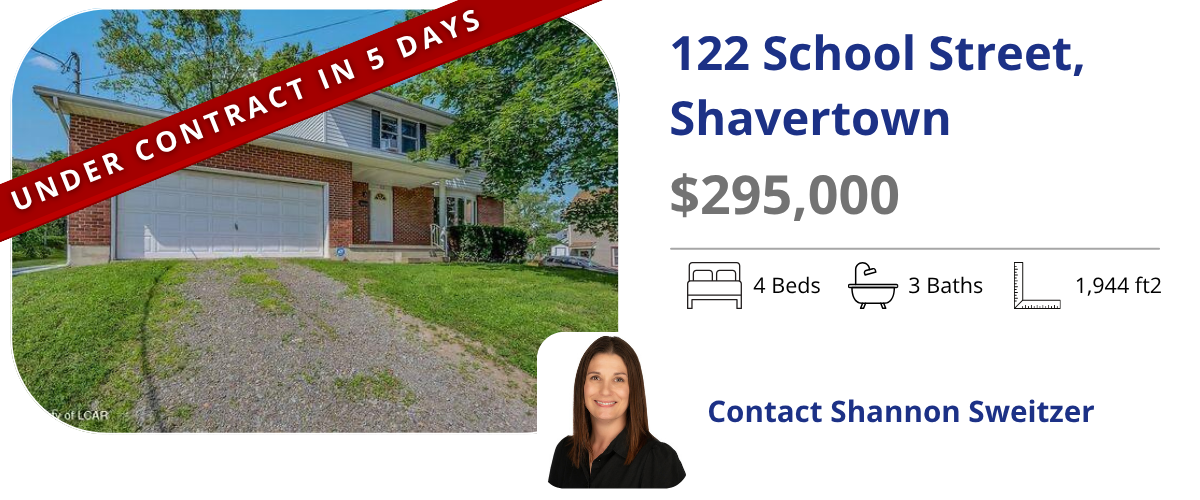 homes for sale in back mountain