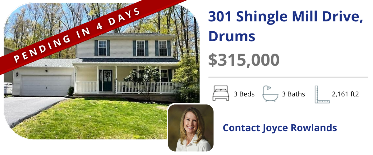 homes for sale in drums