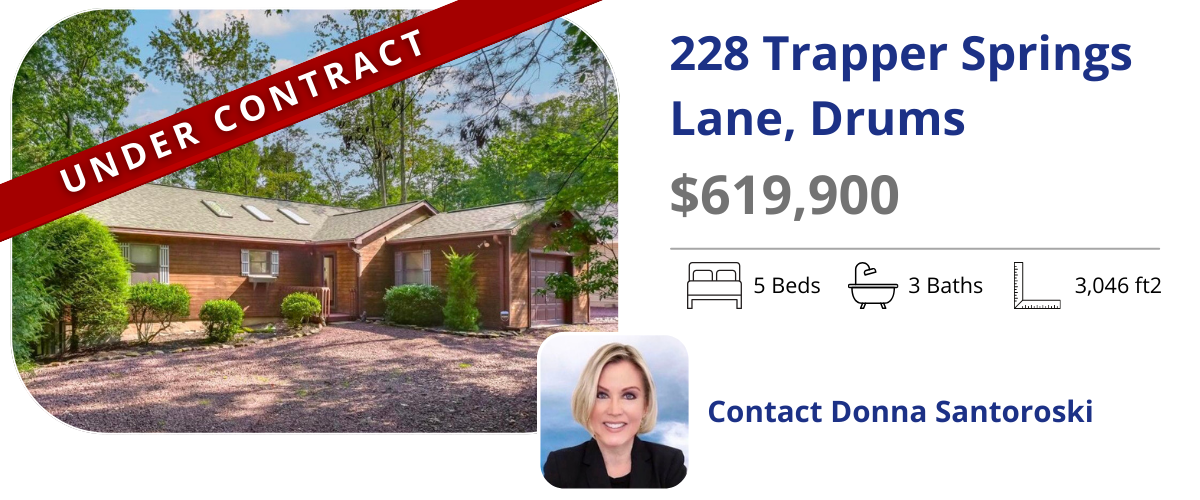 homes for sale in drums
