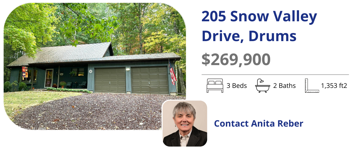 205 snow valley