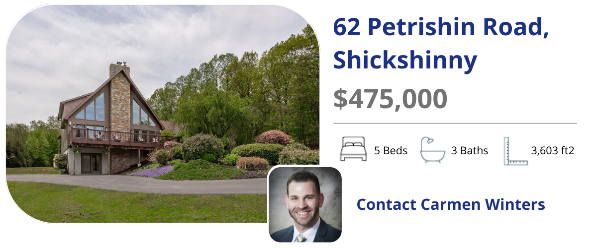 62 petrishin rd shickshinny