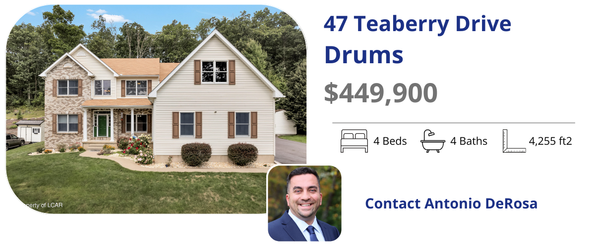47 Teaberry Drive, Drums PA