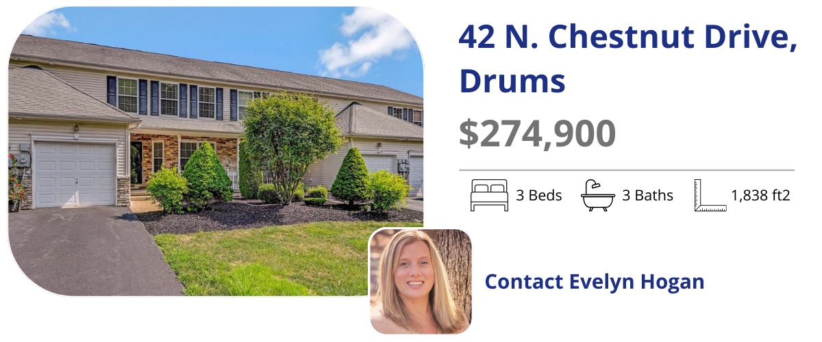 42 n chestnut dr
