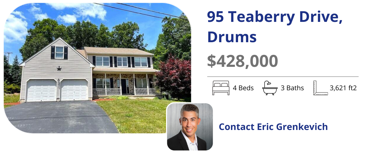 95 teaberry drive drums