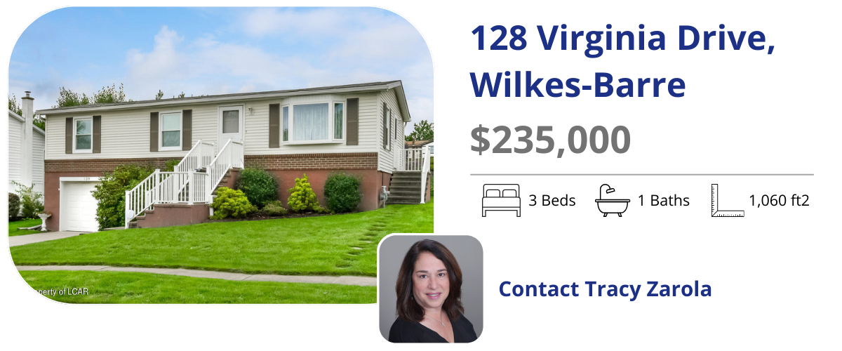 128 virginia dr