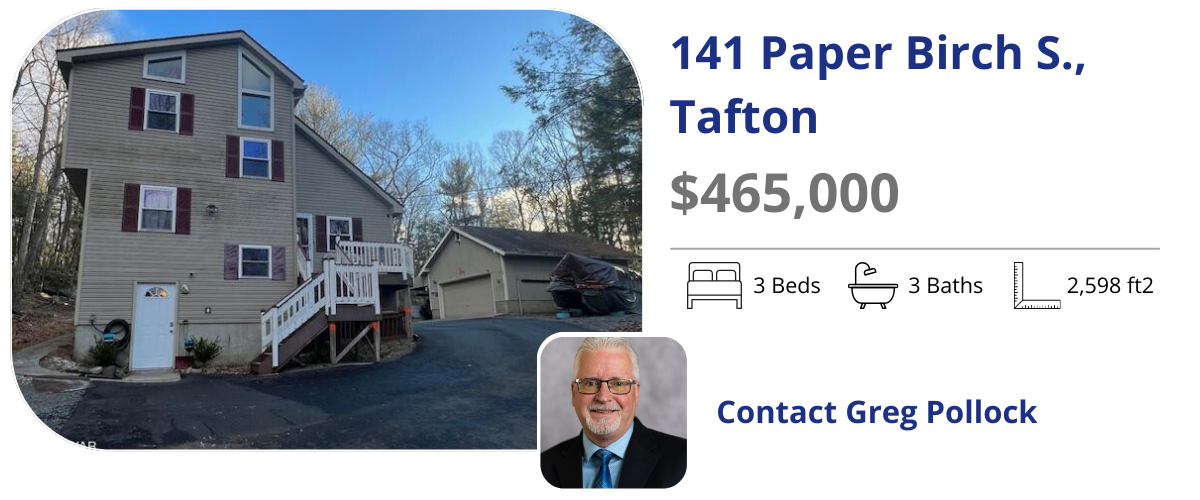 141 paper birch, tafton
