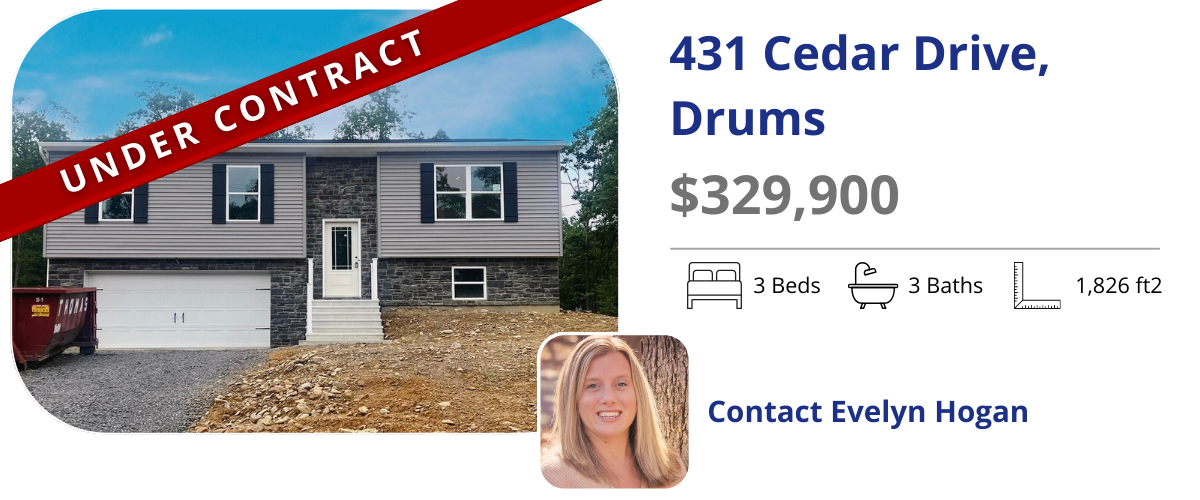 homes for sale in drums