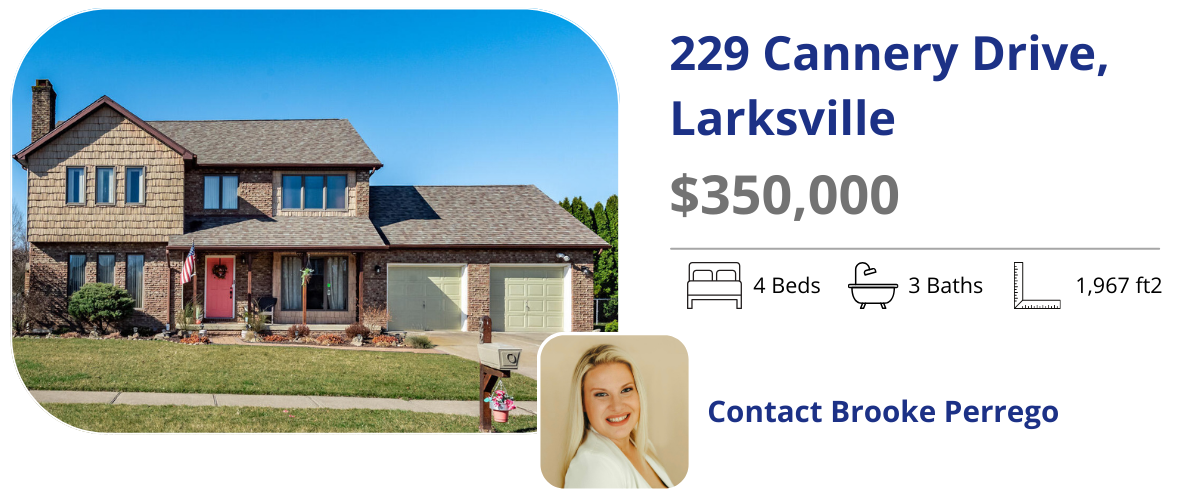 229 cannery dr