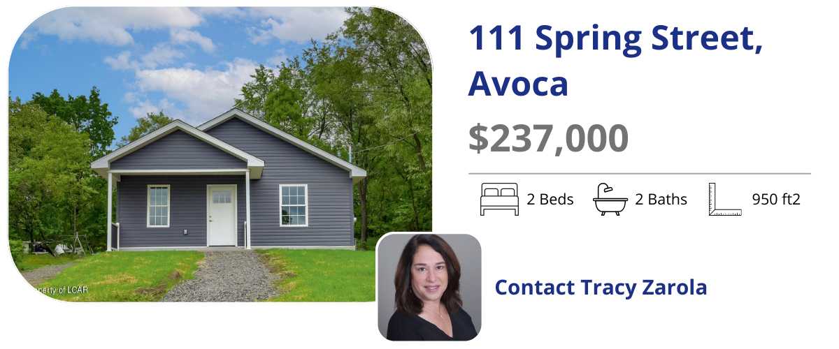 111 spring st avoca