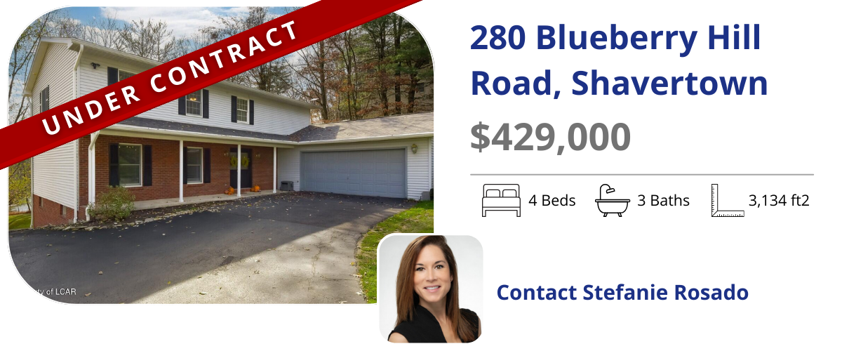 homes for sale in back mountain