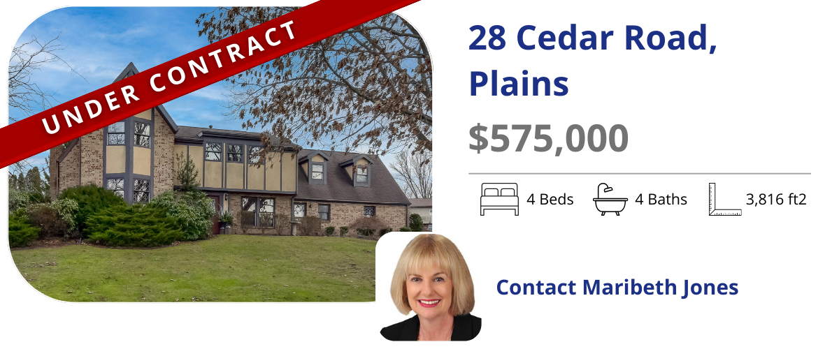 homes for sale in plains