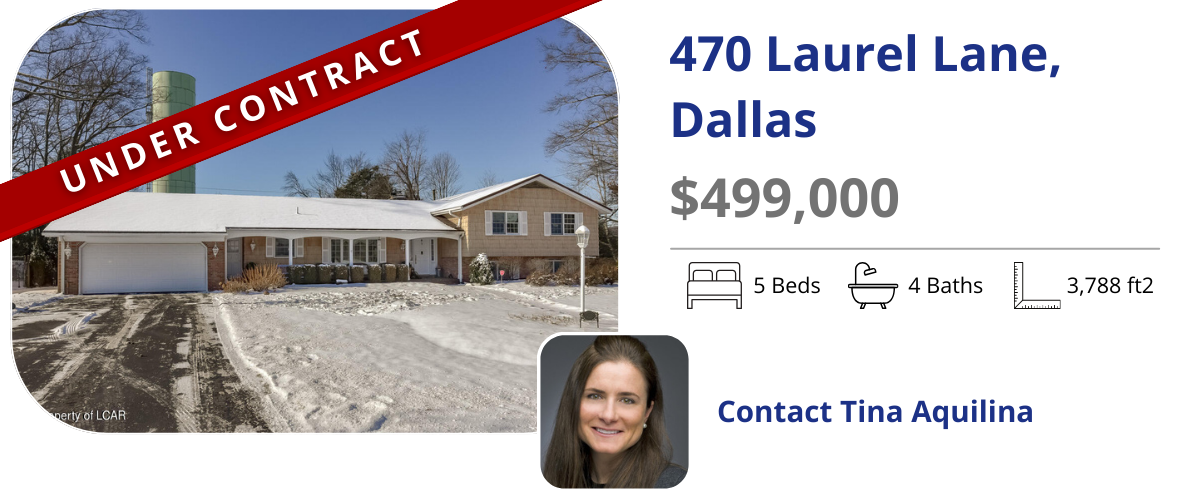 homes for sale inback mountain