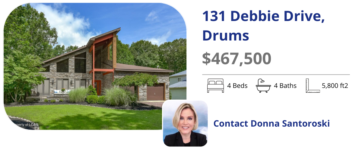 131 Debbie dr