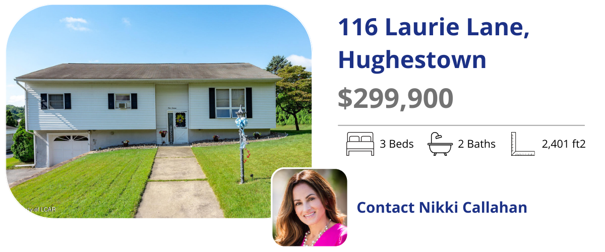 116 Laurie ln