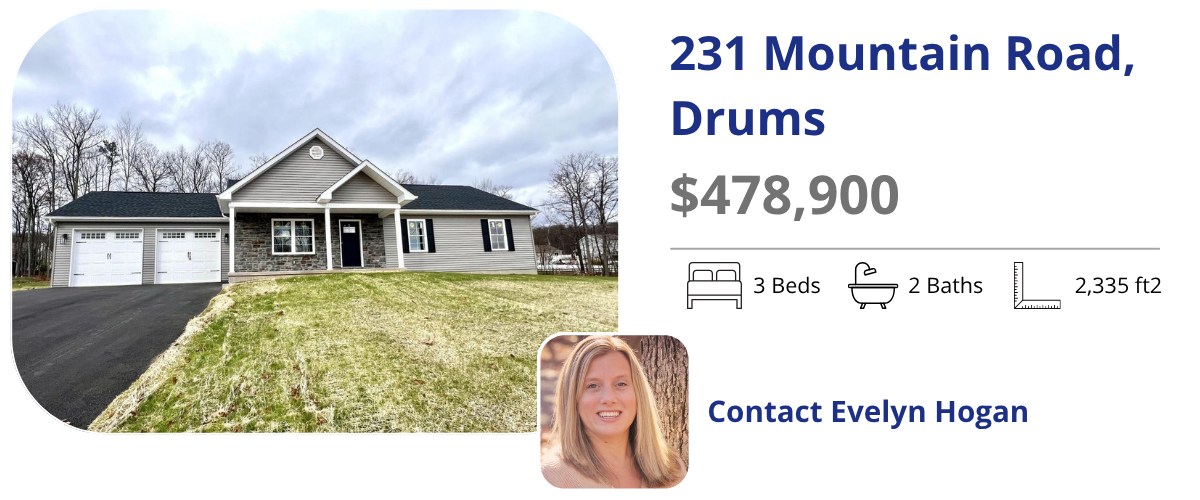 231 mountain road