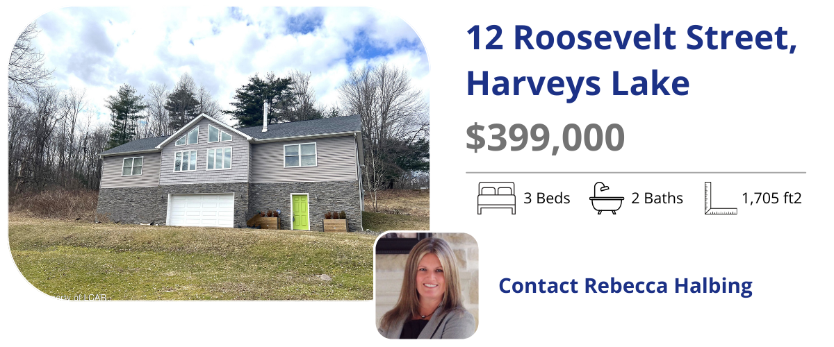 12 roosevelt st, harveys lake