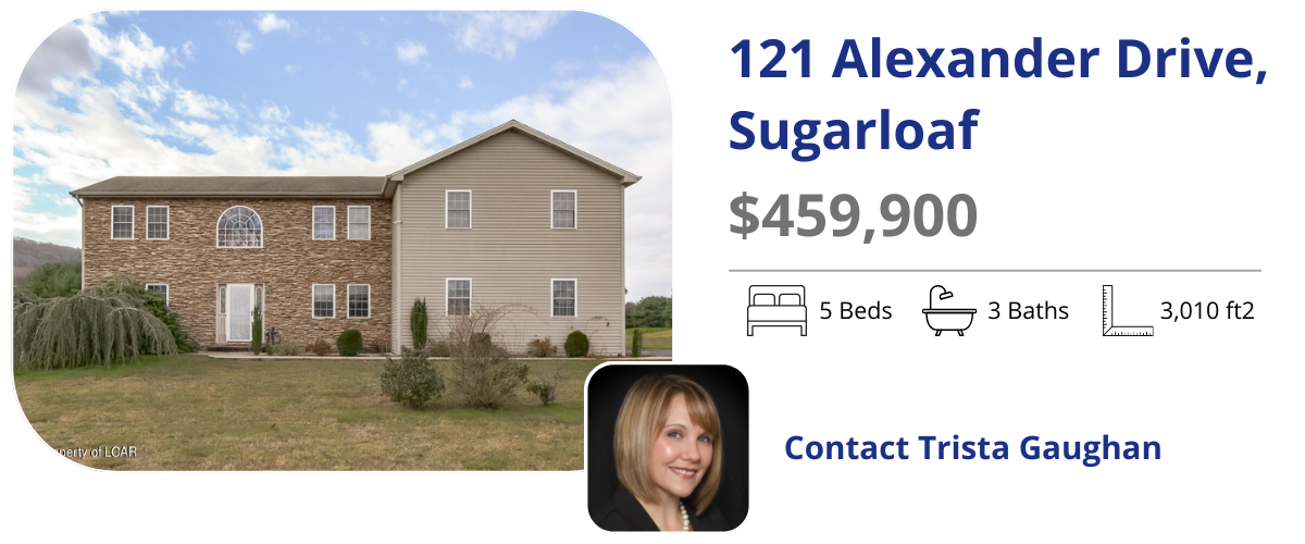 121 alexander dr