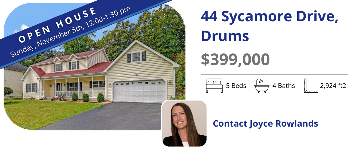 44 sycamore dr, drums