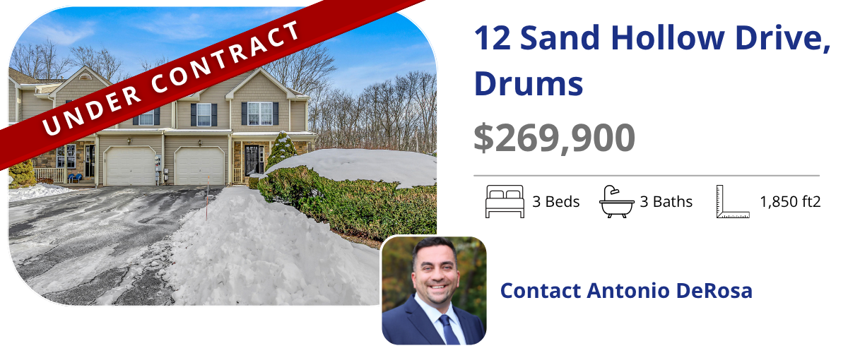 homes for sale in drums