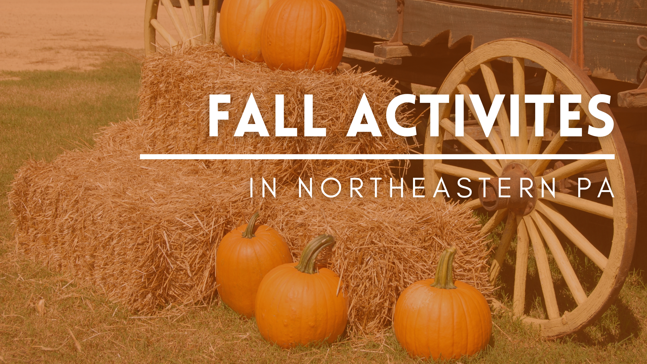 fall activities