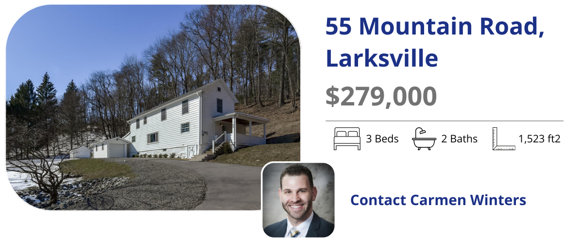 55 mountain road, larksville