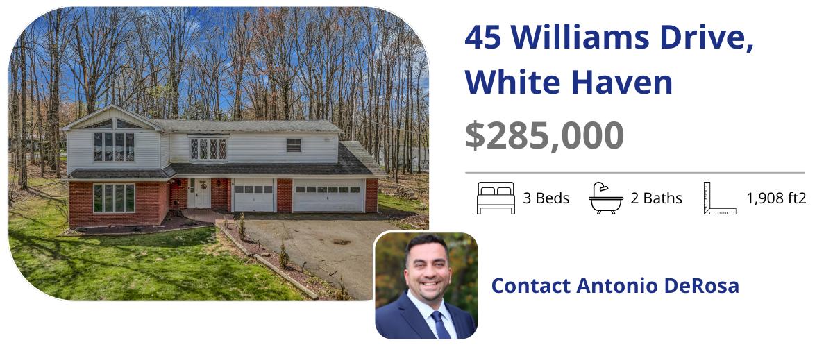 45 williams dr