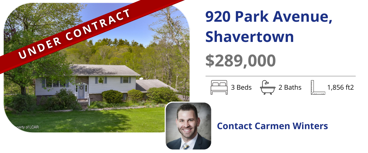 homes for sale in back mountain