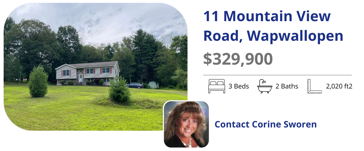11 mountain view