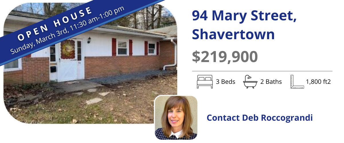 94 mary st, shavertown