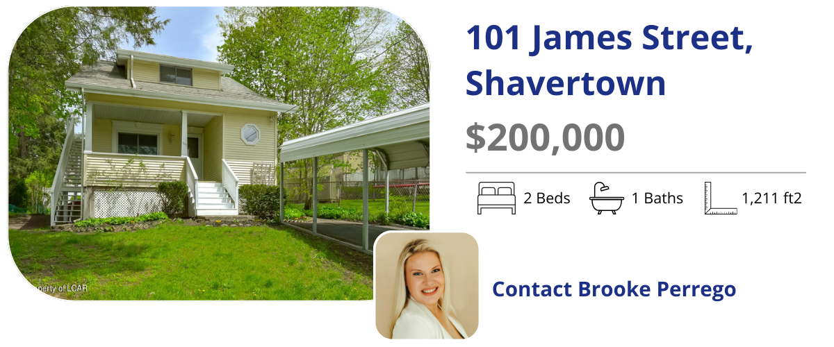 101 james st shavertown