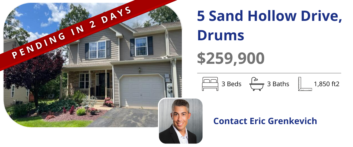 homes for sale in drums