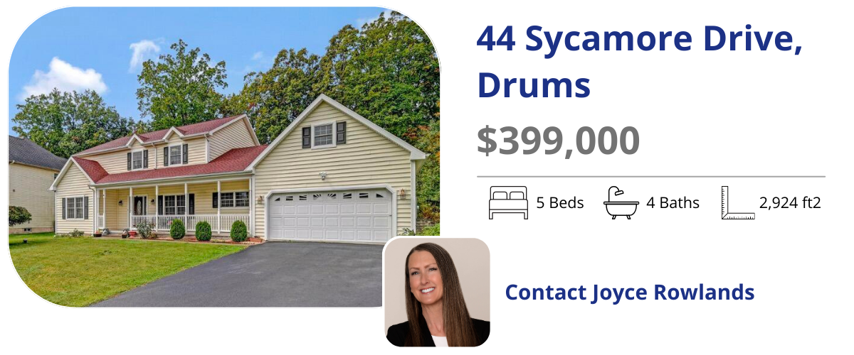 44 sycamore dr drums