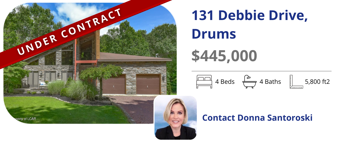 homes for sale in drums