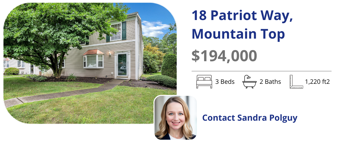 18 patriot way mountain top