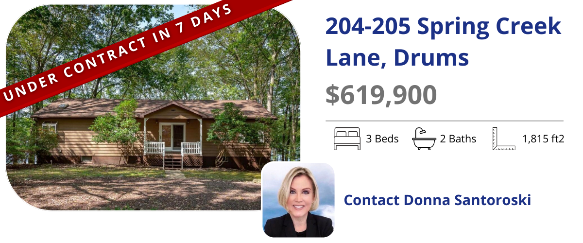 homes for sale in drums