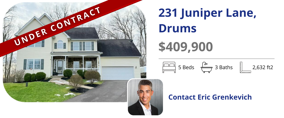 homes for sale in drums