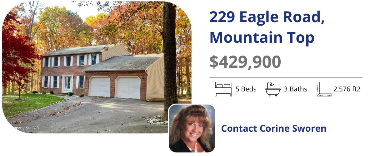 229 eagle road, mountain top