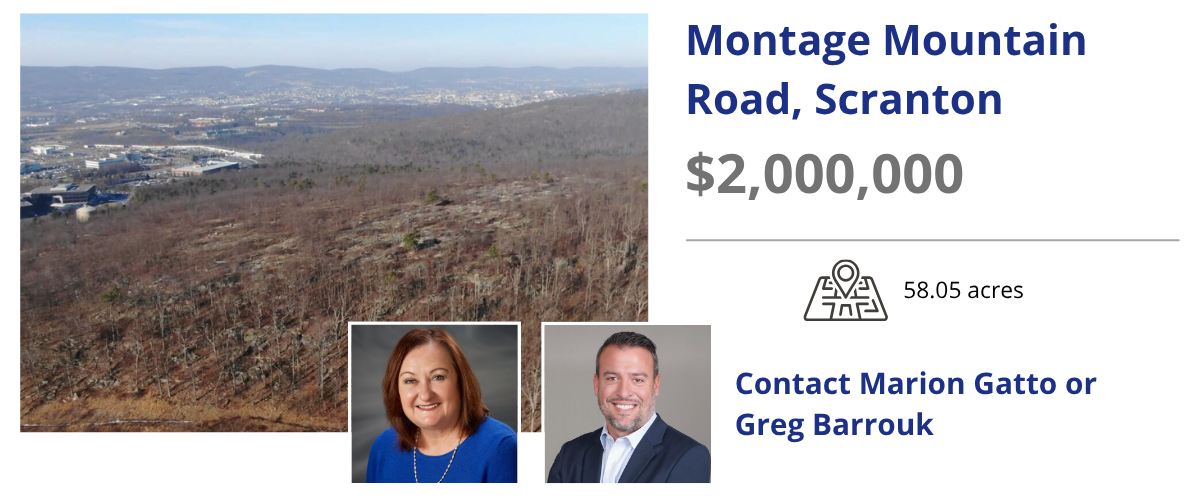 montage mountain road