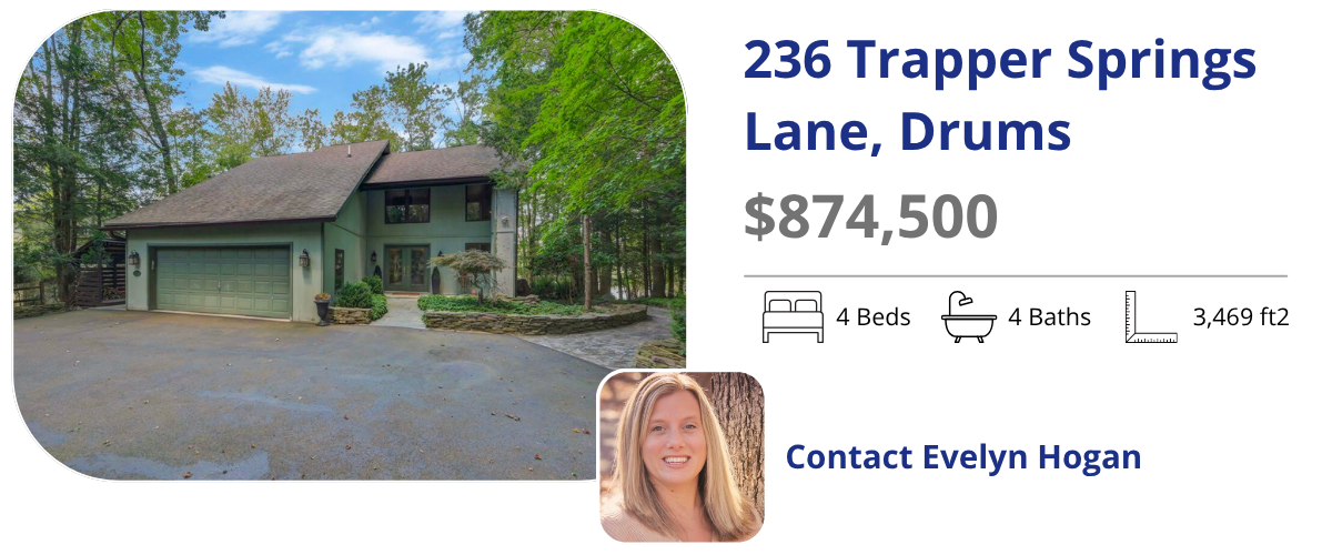 236 trapper springs ln