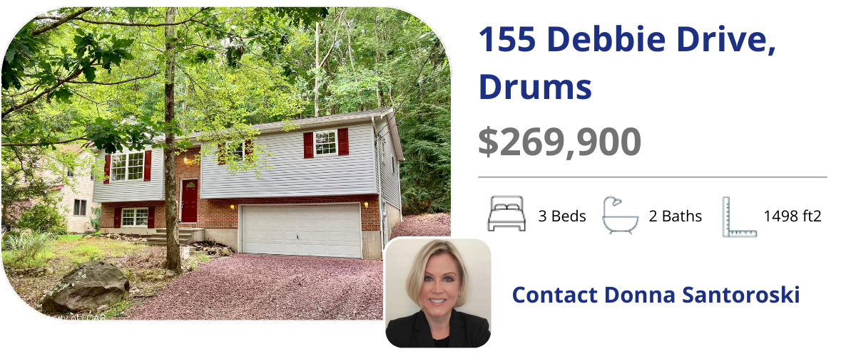 155 Debbie Drive